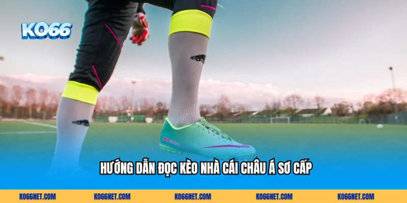 Hướng dẫn đọc kèo nhà cái châu Á sơ cấp