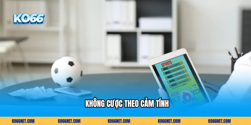 Không cược theo cảm tính