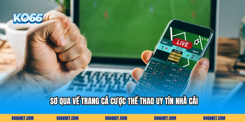 Sơ qua về trang cá cược thể thao uy tín nhà cái