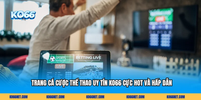 Trang Cá Cược Thể Thao Uy Tín KO66 Cực Hot Và Hấp Dẫn